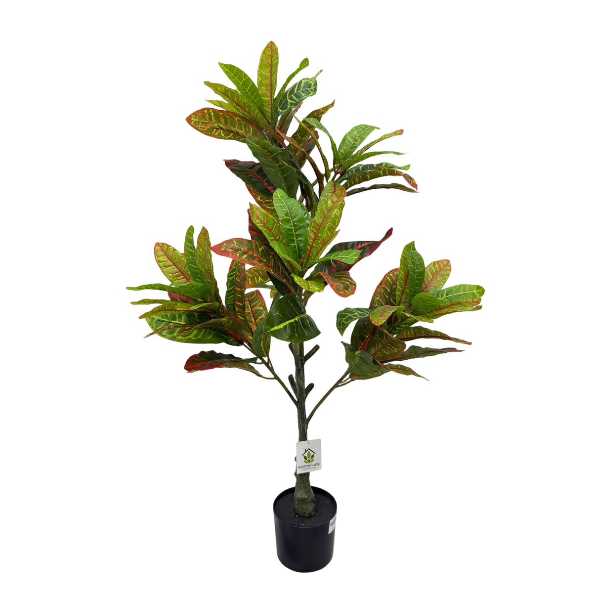NLX01HC-LL040 Regular