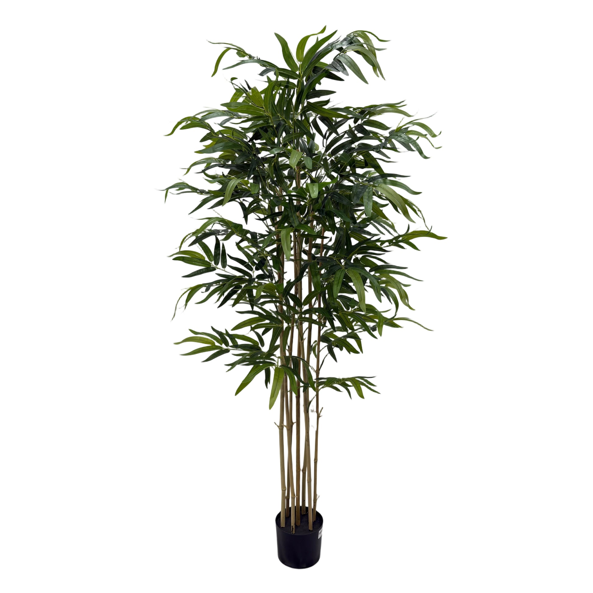 NLX01HC-LL087 Regular
